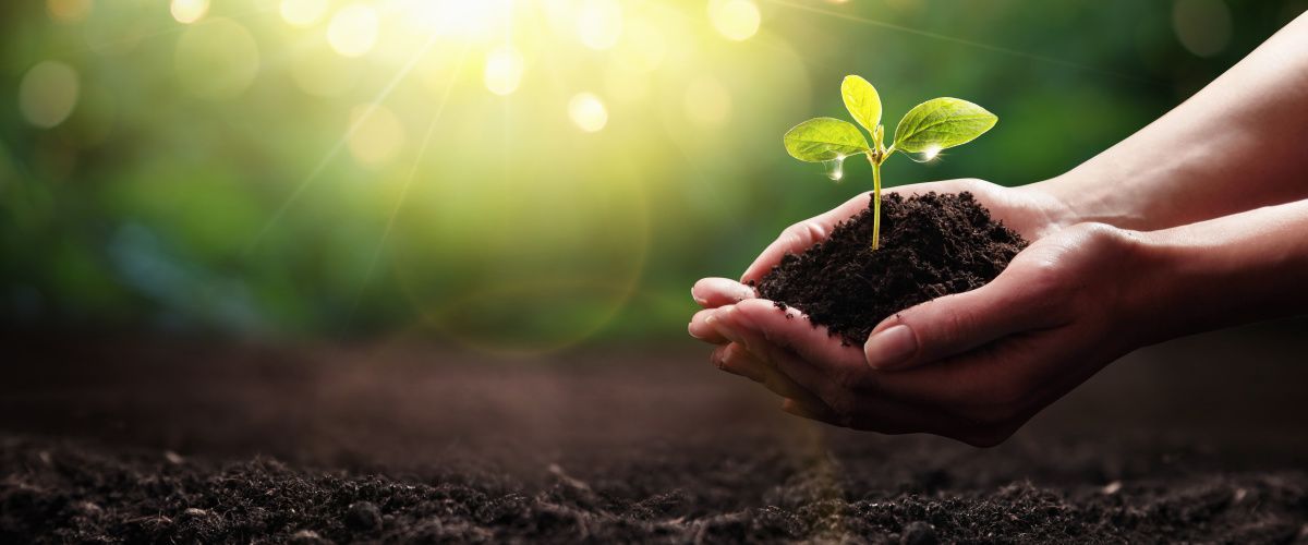 Birmingham sustainability