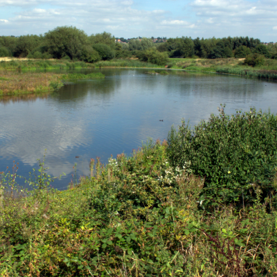 Sandwell Valley Country Park