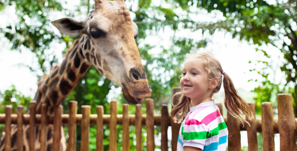 Dudley Zoo & Castle.