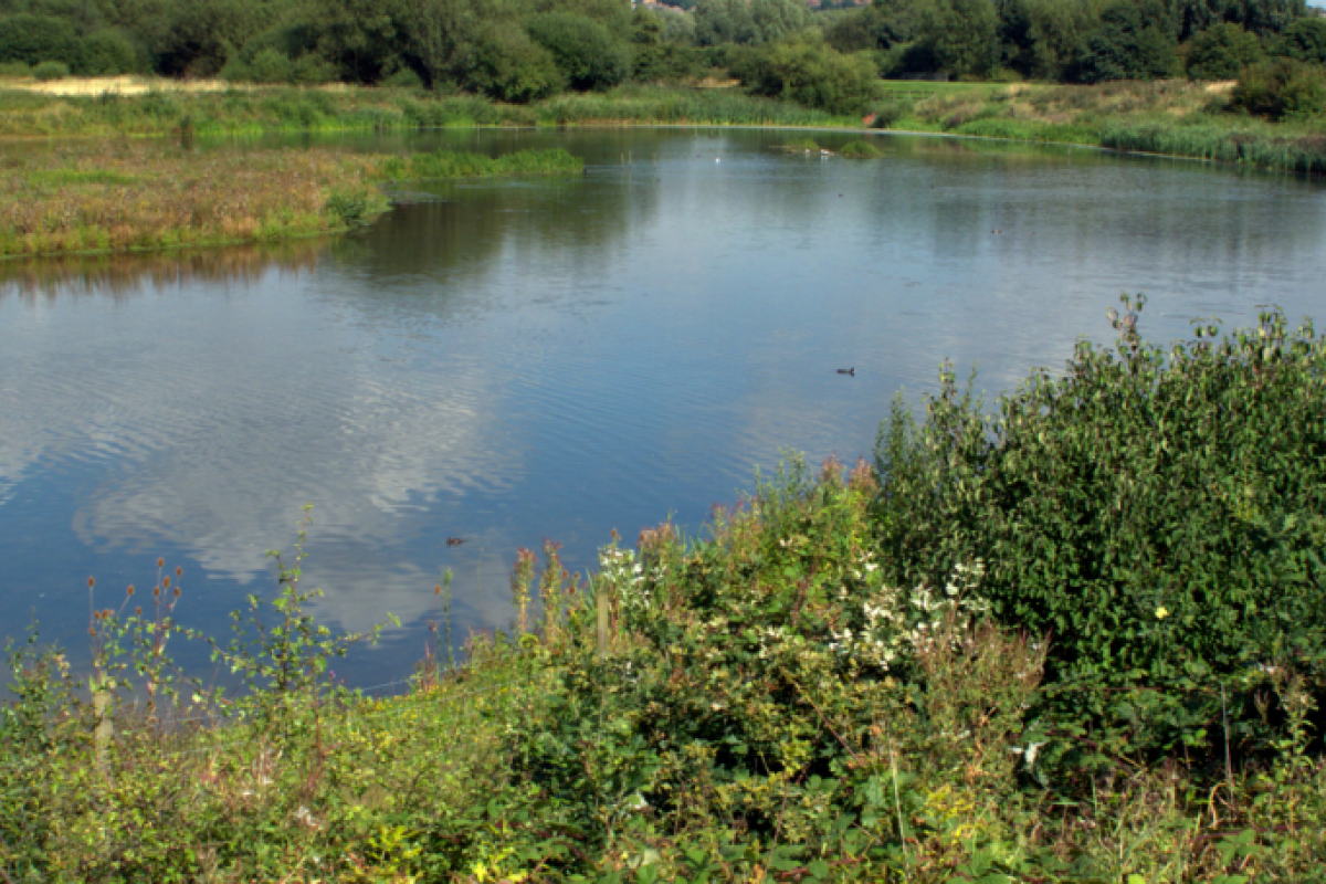 Sandwell Valley Country Park.